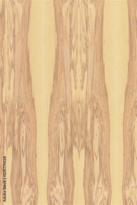 Image result for Ash Tree Wood Color