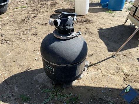 How Does a Sta-Rite Pool Sand Filter Work 的图像结果