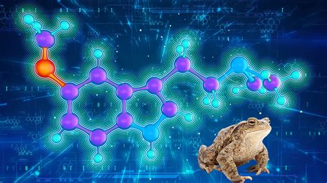 Could a Toad’s Psychedelic Venom Help Treat Psychiatric Disorders? | Columbia News