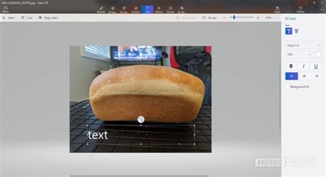 Image result for Add Text to Pictures with Heic Extension On Computer