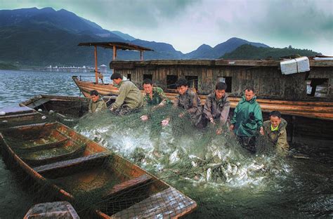丰收节到！丹江渔民喜迎渔获丰收，怀抱大鱼开怀大笑