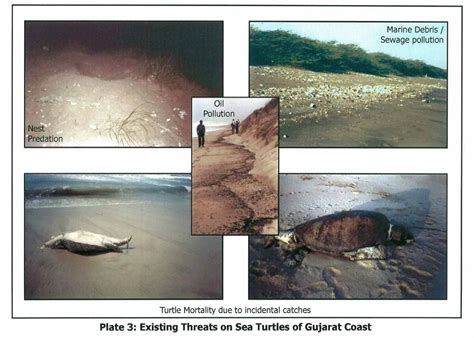 Potential ecological impacts of chemical complex near Gulf of Kutch in ...