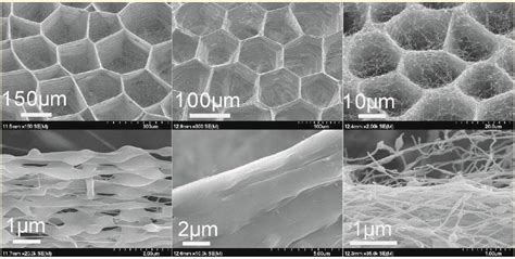 Multifunctional Nanofibers towards Active Biomedical Therapeutics