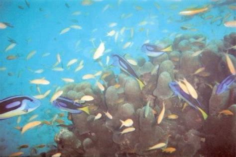 Oceanworx Dive Charters, Umkomaas