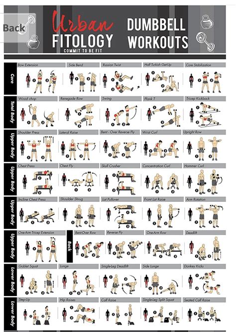 Beginner Printable Dumbbell Workout - Educational Printable Activities