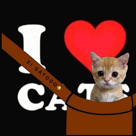 Cat T Shirt Roblox at Carmina Cox blog