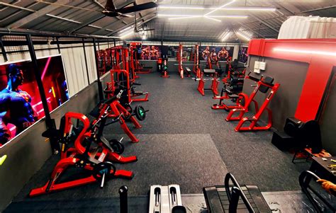 Delta Machine Gym 的图像结果