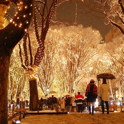 Everything You Need To Know About The Charm Of Tokyo