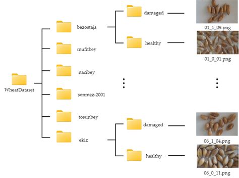 Image result for File Data Structure