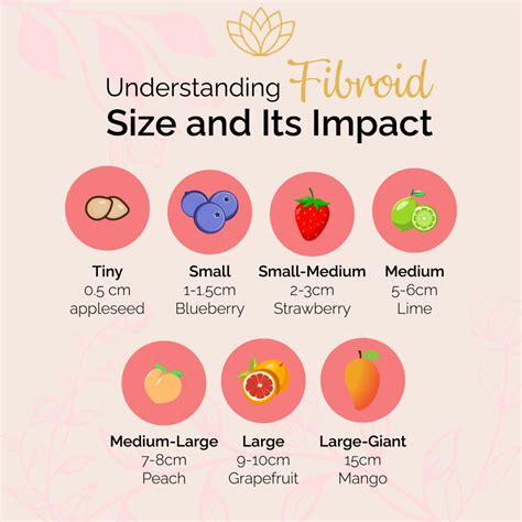 How Big Is A 3 Cm Fibroid at Lois Lumpkin blog