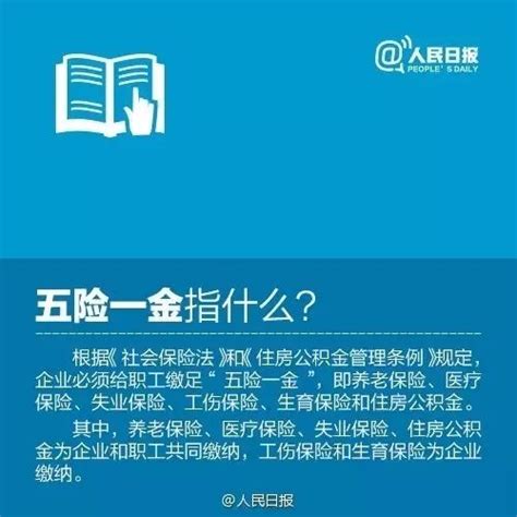网新恩普成功中标湖南省本级2020年度五险统一征缴运行维护服务项目