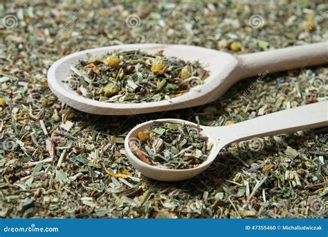Wooden Spoon and Various Herbs in a Herbalist Stock Photo - Image of ...