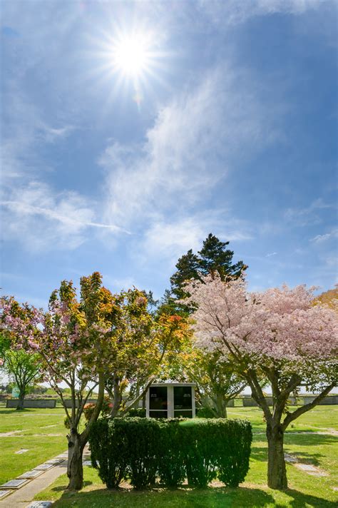 Photo Gallery | New Montefiore Cemetery