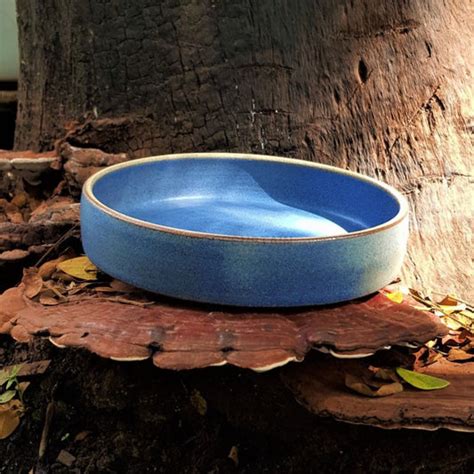 Pasta Plates – Codesustain Ventuures Pvt Ltd