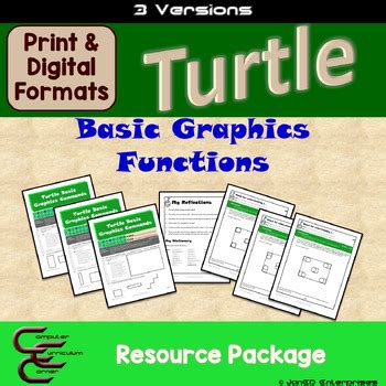 Image result for Turtle Package Python