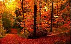 Autumn Wallpapers Aesthetic by Aesthetic Autumn Wallpapers Wallpaper Cave Autumn Wallpapers Aesthetic