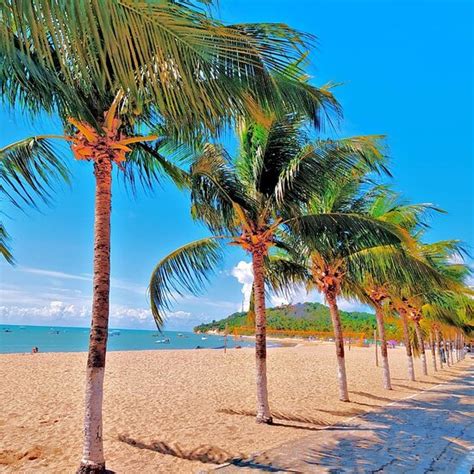 JAPARATINGA SUÍTES (Alagoas, Brazil) - Guesthouse Reviews & Photos ...