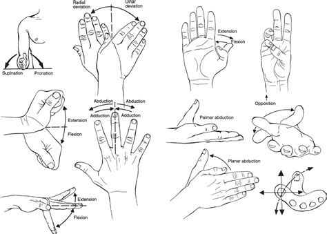 Wrist And Hand Movements at Edward Cramer blog