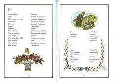 il significato segreto dei fiori il linguaggio dei fiori libro di kate greenaway il significato segreto dei fiori il linguaggio dei fiori libro di kate greenaway