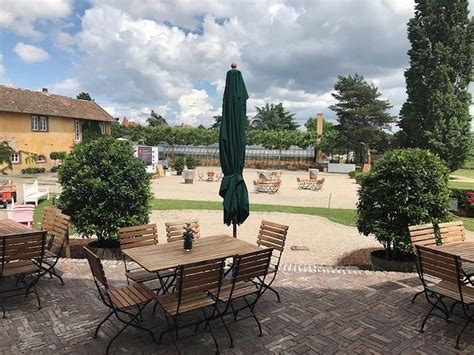 WEINGUT DR. BUERKLIN-WOLF (2025) All You Need to Know BEFORE You Go ...