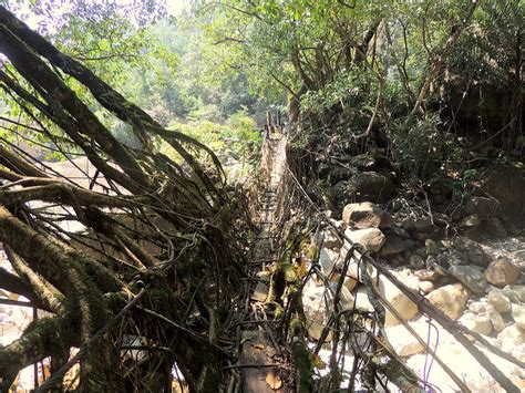 D'source The Basic Structure of the Bridge | Architecture | D'Source ...