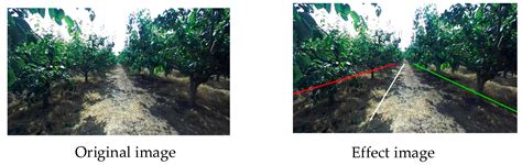 Research on SLAM Localization Algorithm for Orchard Dynamic Vision ...