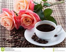 fiori coffee flowers and coffee stock image image of drink coffe fiori coffee flowers and coffee stock image image of drink coffe
