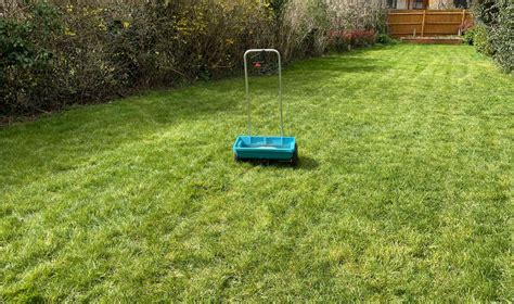 How to Overseed Your Lawn: A Comprehensive Guide to Achieving a Healthy ...