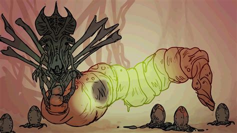 Image result for Alien Xenomorph Life Cycle