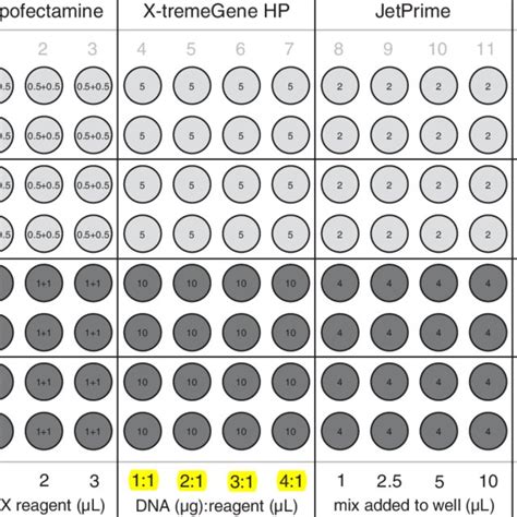Multivariate Optimization Numerical Example 的图像结果