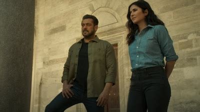 Tiger 3 box office collection day 17: Salman Khan film witnesses ...