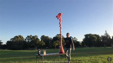 Image result for Elephant Toothpaste World Record