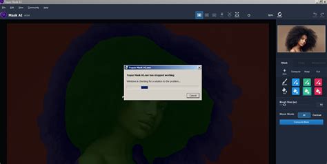 Image result for How to Use Topaz Mask AI