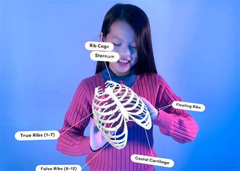 Image result for Merge Cube Tutorial