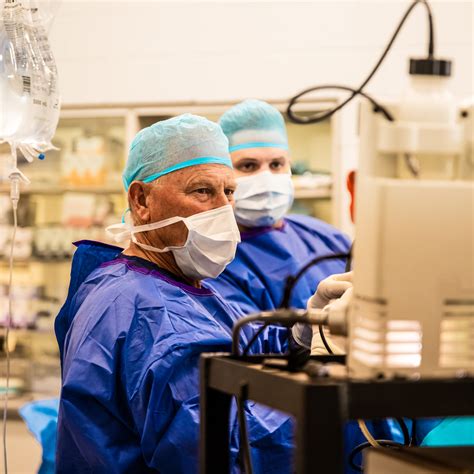 South Valley Equine – From pasture to performance, our expertise ...