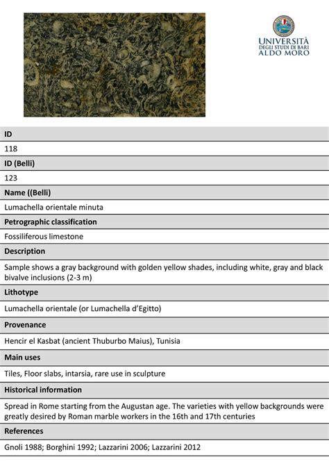 Paper-Based Database Examples 的图像结果