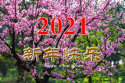告别2020 走进2021 祝大家新年快乐！ - 天府摄影 - 天府社区