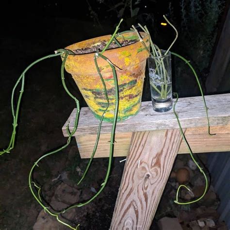 Image result for Alien Xenomorph Drop Ceiling Tile