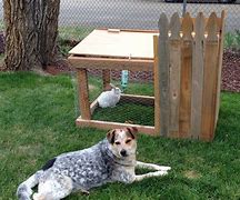 Image result for Simple DIY Rabbit Colony