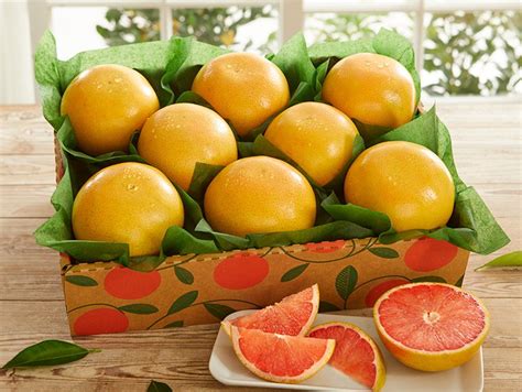 Red Ruby Grapefruit How to Grow Perth 的图像结果