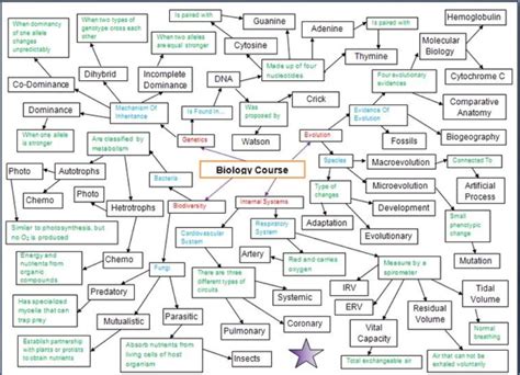 Image result for Concept Map Example