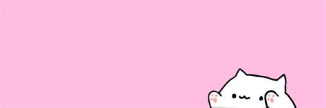 Image result for Cat Taking Using Computer