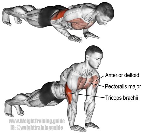 Close-grip push-up exercise instructions and videos | BRAZOS TRICEPS | Entrenamiento ...