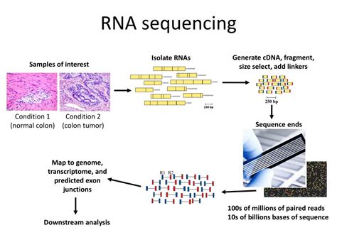 RNA-Seq vs Microarray 的图像结果