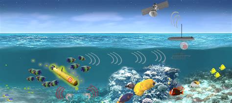 Image result for Sea Creatures Alert Program