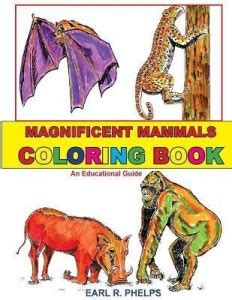 Magnificent Mammals Coloring Book: Buy Magnificent Mammals Coloring ...