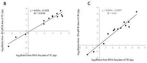 Transcriptome Differences in Porcine Alveolar Macrophages from ...