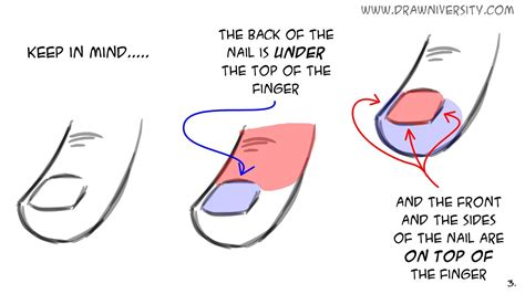 Image result for Hand Drawing Tips