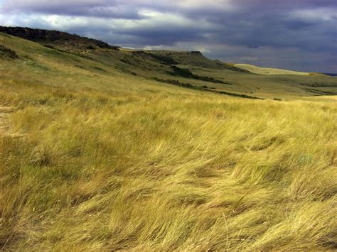 Neogene grassland expansion and climatic evolution | Terrestrial Paleoclimate