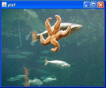 Image result for Java Show